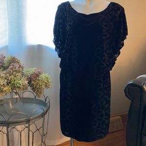 White House Black Market Blouson Velvet Dress